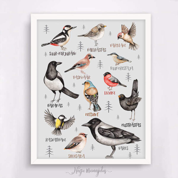 Poster linnud