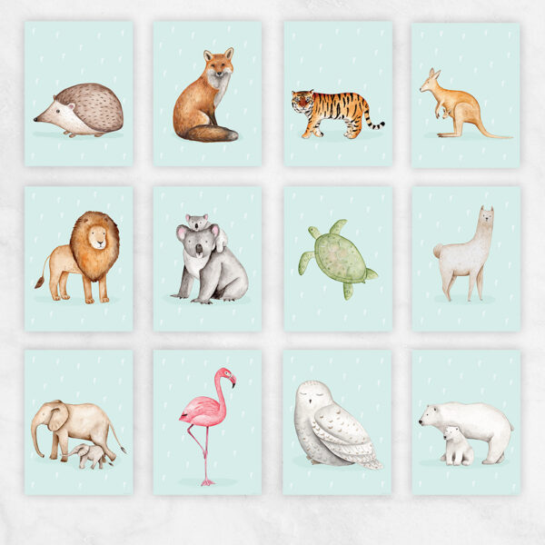 Maailma Loomade poster