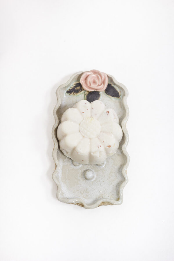 Seep koos seebialusega