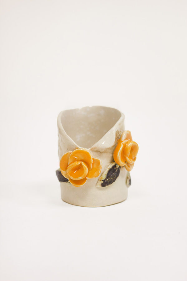 Hambaorgitops Hambaorgitops