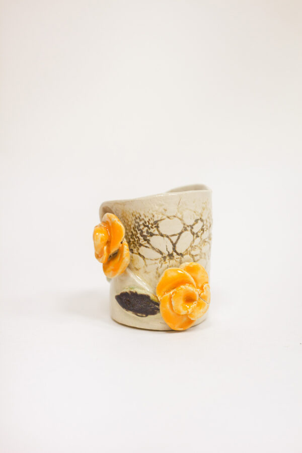 Hambaorgitops Hambaorgitops