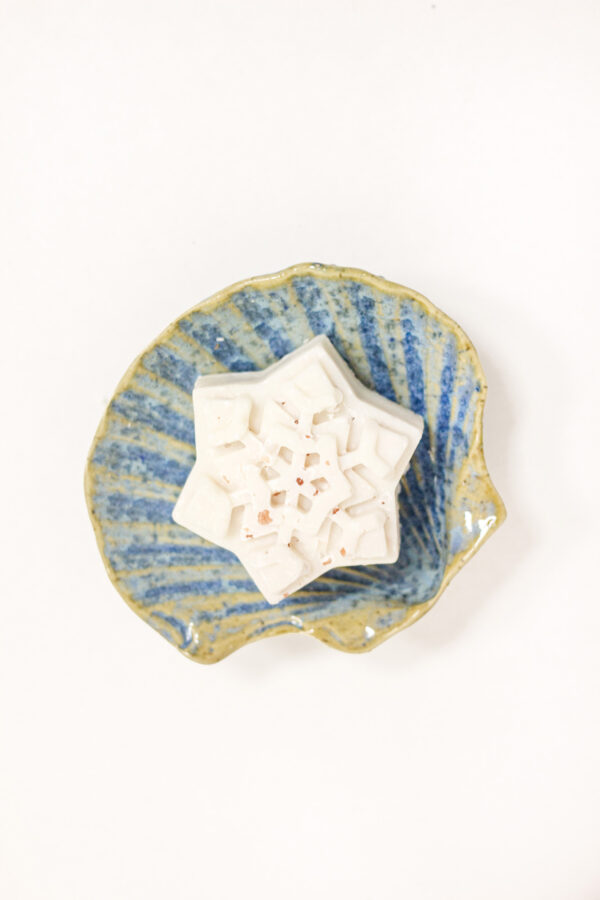 Seebialus koos seebiga