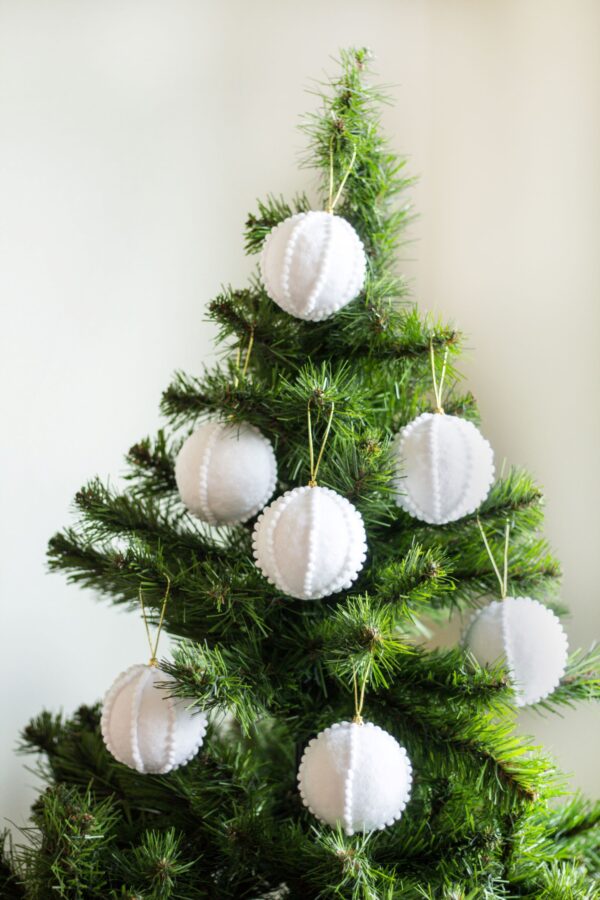 Valged karvased kuuseehted