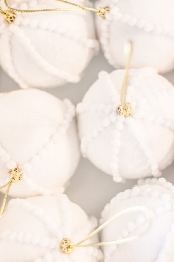 Valged karvased kuuseehted