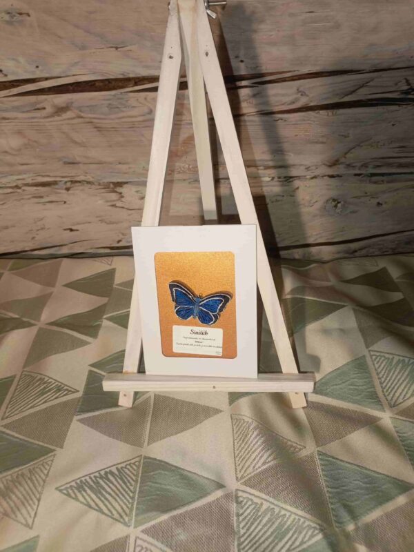 3D efektiga liblikapross "Sinitiib"