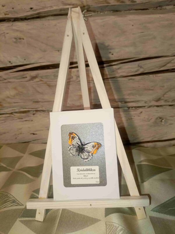 3D Liblikapross "Koiduliblikas"