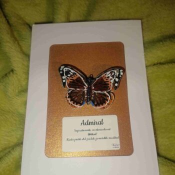 3D Liblikapross "Admiral"