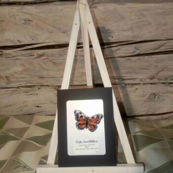 3D liblikapross "Väike-koerliblikas"