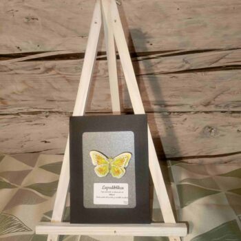 3D Liblikapross "Lapsuliblikas"