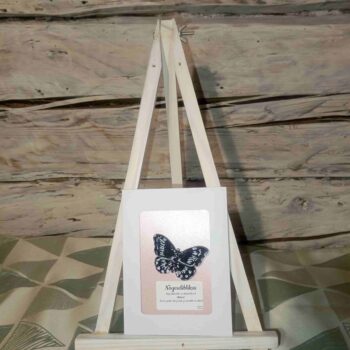 3D Liblikapross "Nõgeseliblikas"