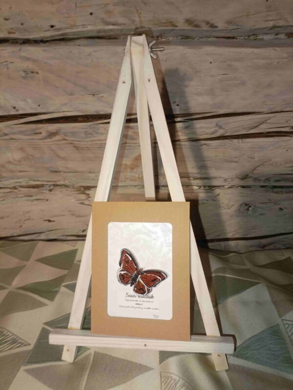 3D Liblikapross "Suur-kuldtiib"