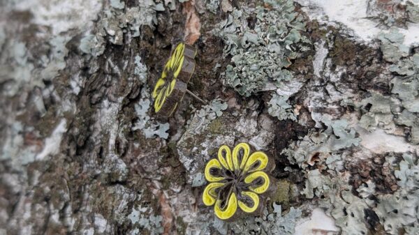 Paberist kollased "Lille-täpid" Paberist kollased "Lille-täpid"